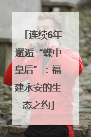 连续6年邂逅“蝶中皇后”：福建永安的生态之约
