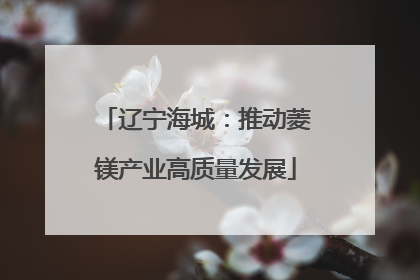 辽宁海城：推动菱镁产业高质量发展