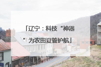 辽宁：科技“神器”为农田夏管护航
