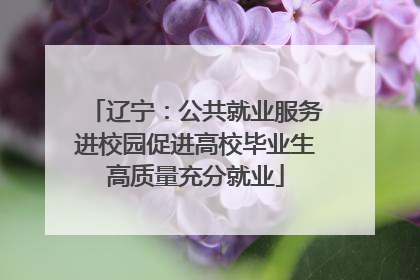 辽宁：公共就业服务进校园促进高校毕业生高质量充分就业