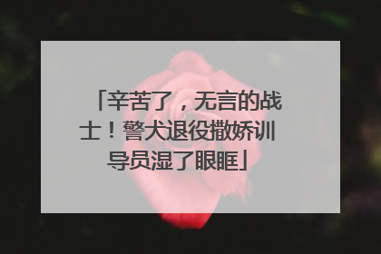 辛苦了，无言的战士！警犬退役撒娇训导员湿了眼眶