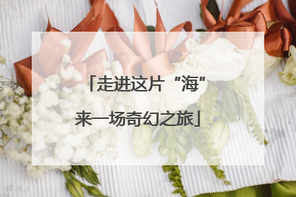 走进这片“海”来一场奇幻之旅