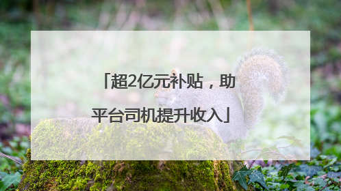 超2亿元补贴，助平台司机提升收入