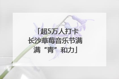 超5万人打卡 长沙草莓音乐节满满“青”和力