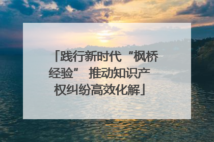 践行新时代“枫桥经验” 推动知识产权纠纷高效化解