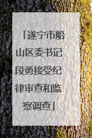遂宁市船山区委书记段勇接受纪律审查和监察调查