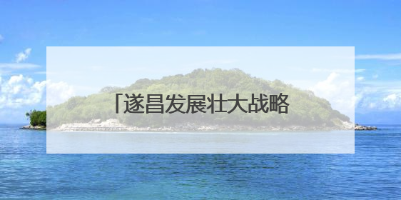 遂昌发展壮大战略性新兴产业 龙头引领 集群共进