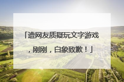遭网友质疑玩文字游戏，刚刚，白象致歉！