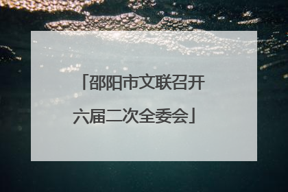 邵阳市文联召开六届二次全委会