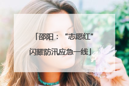 邵阳：“志愿红”闪耀防汛应急一线