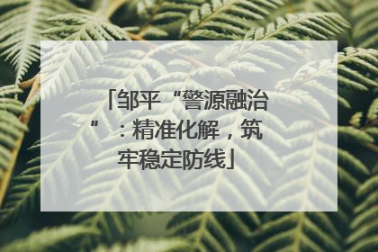 邹平“警源融治”：精准化解，筑牢稳定防线