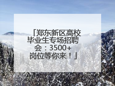 郑东新区高校毕业生专场招聘会：3500+岗位等你来！