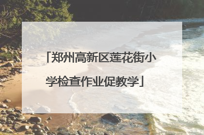 郑州高新区莲花街小学检查作业促教学