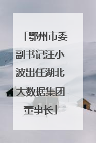鄂州市委副书记汪小波出任湖北大数据集团董事长