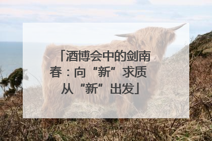 酒博会中的剑南春：向“新”求质 从“新”出发