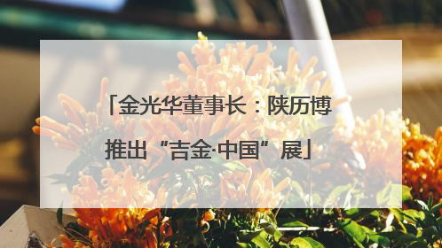 金光华董事长：陕历博推出“吉金·中国”展