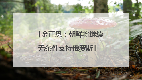 金正恩：朝鲜将继续无条件支持俄罗斯