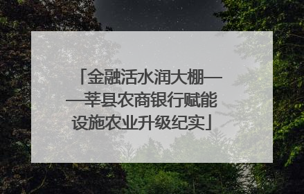 金融活水润大棚——莘县农商银行赋能设施农业升级纪实