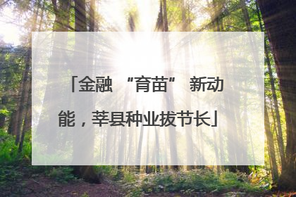 金融 “育苗” 新动能，莘县种业拔节长