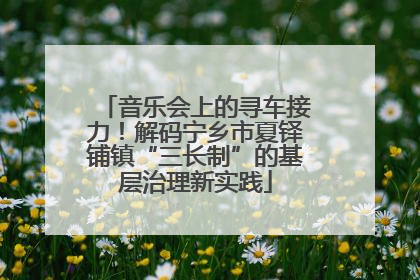 音乐会上的寻车接力！解码宁乡市夏铎铺镇“三长制”的基层治理新实践