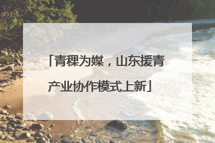 青稞为媒，山东援青产业协作模式上新