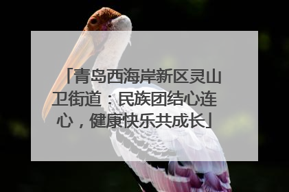 青岛西海岸新区灵山卫街道：民族团结心连心，健康快乐共成长