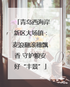 青岛西海岸新区大场镇：麦浪翻滚穗飘香 守护粮安好“丰景”