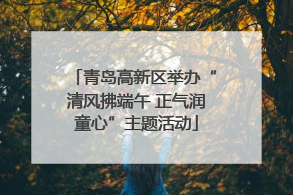 青岛高新区举办“清风拂端午 正气润童心”主题活动