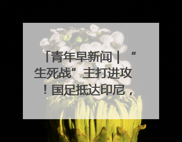 青年早新闻｜“生死战”主打进攻！国足抵达印尼，主教练发声