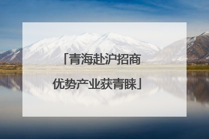 青海赴沪招商 优势产业获青睐