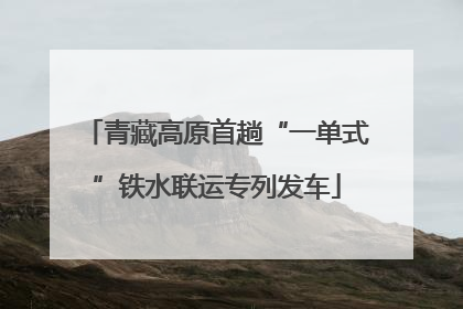 青藏高原首趟“一单式”铁水联运专列发车
