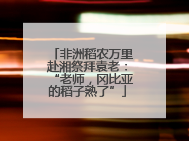 非洲稻农万里赴湘祭拜袁老：“老师，冈比亚的稻子熟了”