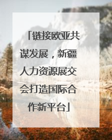链接欧亚共谋发展，新疆人力资源展交会打造国际合作新平台
