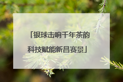 银球击响千年茶韵 科技赋能新昌赛景