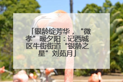 银龄绽芳华，“微孝”暖夕阳：记西城区牛街街道“银龄之星”刘茹月