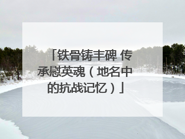 铁骨铸丰碑 传承慰英魂（地名中的抗战记忆）