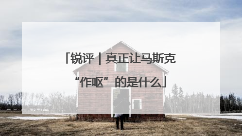 锐评｜真正让马斯克“作呕”的是什么