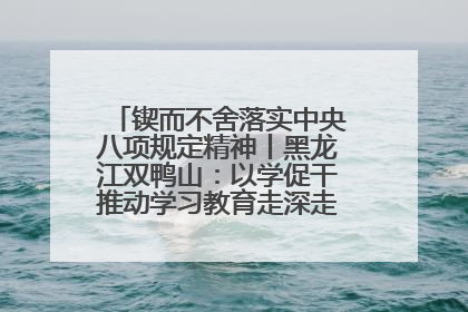 锲而不舍落实中央八项规定精神丨黑龙江双鸭山：以学促干推动学习教育走深走实 从小事入手写好“民生答卷”