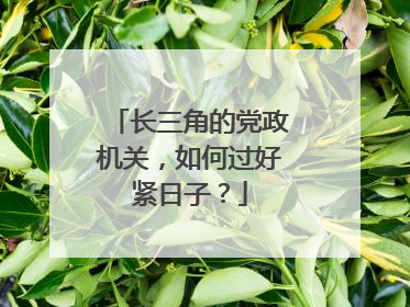 长三角的党政机关，如何过好紧日子？