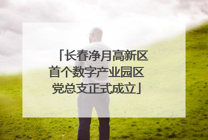 长春净月高新区首个数字产业园区党总支正式成立