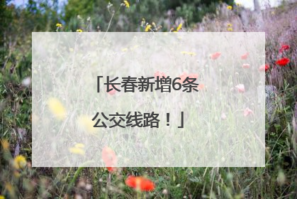 长春新增6条公交线路！