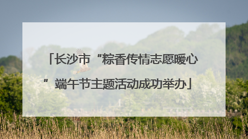 长沙市“粽香传情志愿暖心”端午节主题活动成功举办