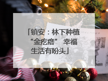 镇安：林下种植“金疙瘩” 幸福生活有盼头