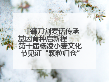 镰刀割麦话传承 基因育种启新程——第十届杨凌小麦文化节见证“颗粒归仓”时空跨越