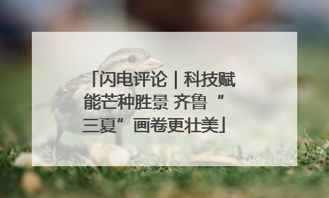 闪电评论｜科技赋能芒种胜景 齐鲁“三夏”画卷更壮美