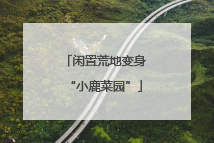 闲置荒地变身“小鹿菜园”