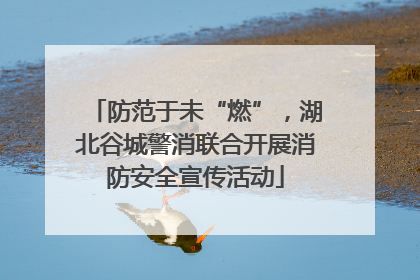 防范于未“燃”，湖北谷城警消联合开展消防安全宣传活动