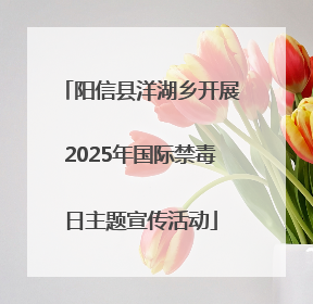 阳信县洋湖乡开展2025年国际禁毒日主题宣传活动