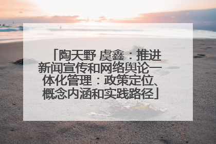 陶天野 虞鑫：推进新闻宣传和网络舆论一体化管理：政策定位、概念内涵和实践路径
