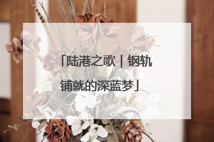 陆港之歌｜钢轨铺就的深蓝梦